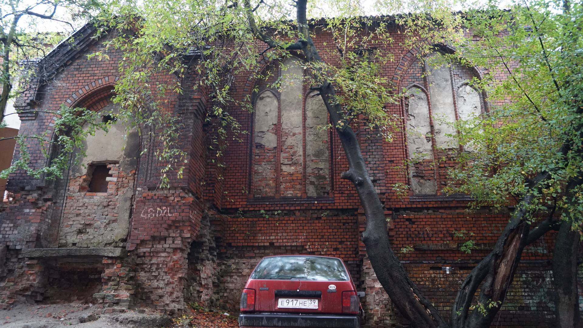 kaliningrad_reg-010-01.jpeg