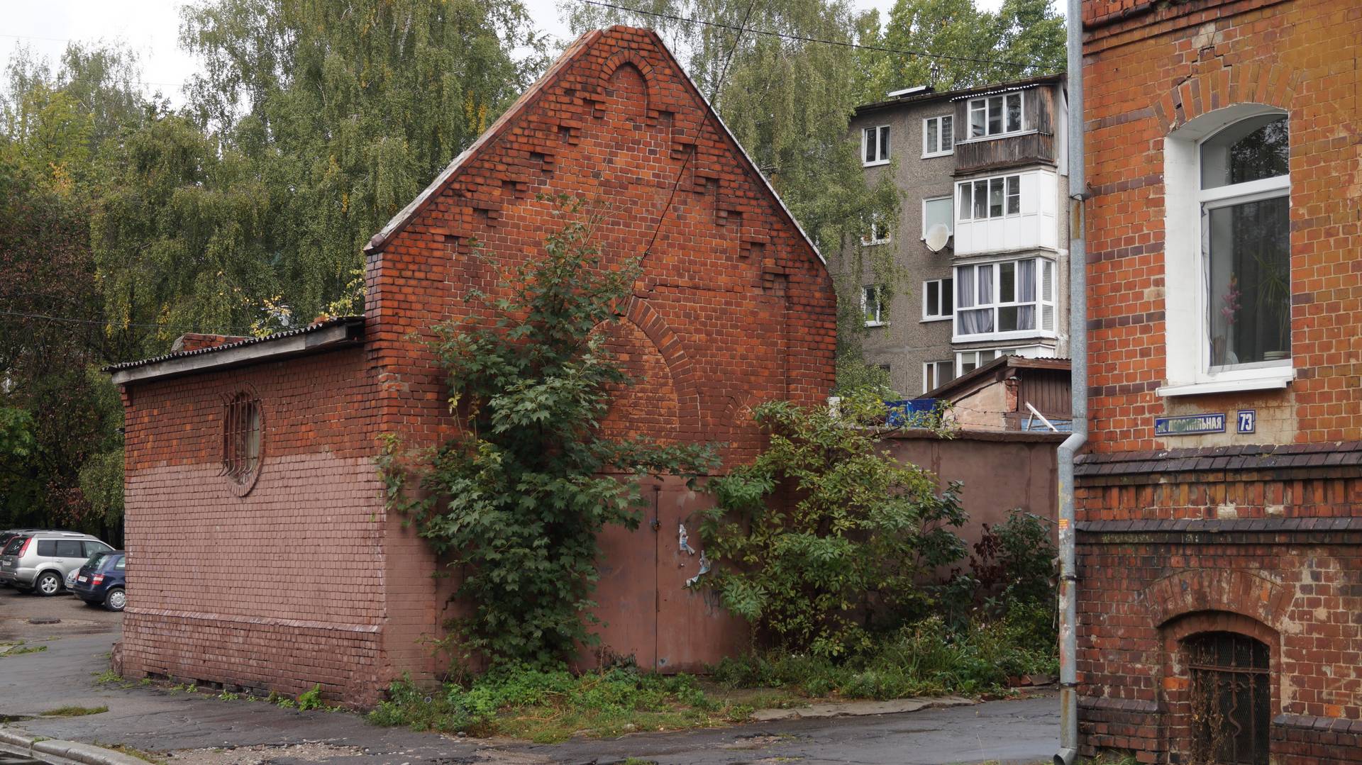 kaliningrad_reg-011-01.jpeg