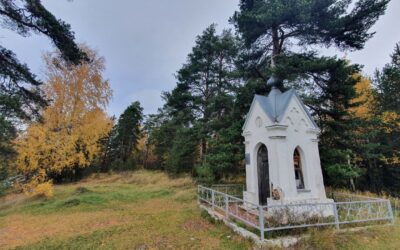 Часовня Николая Чудотворца в д. Царевичи
