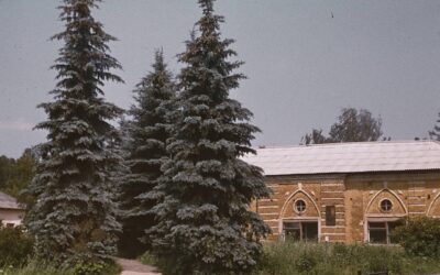 Каретный двор усадьбы Гребнево