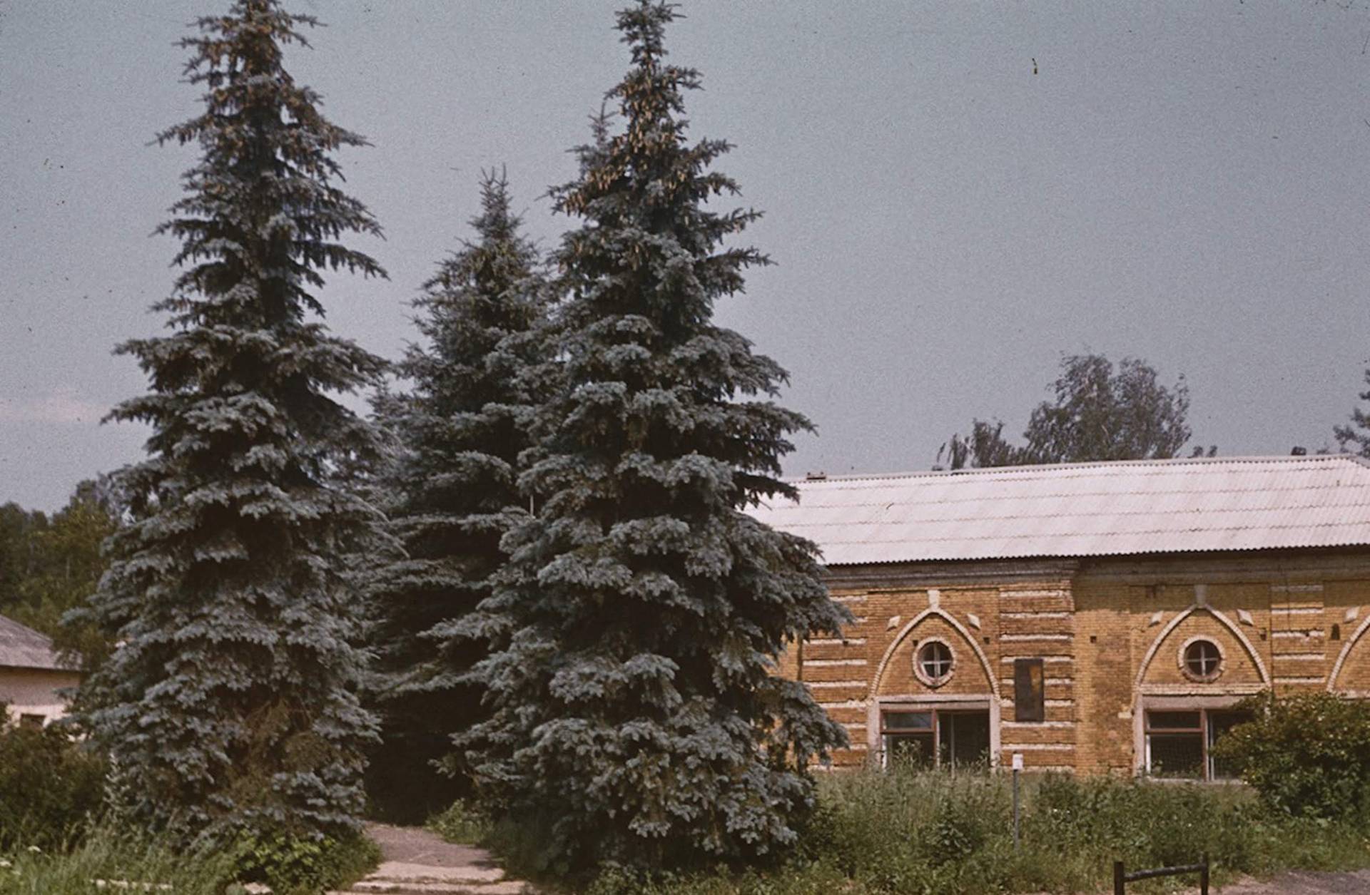 moscow_reg-145-01.jpeg