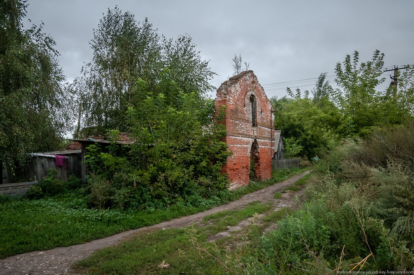 ryazan_reg-017-01.jpeg